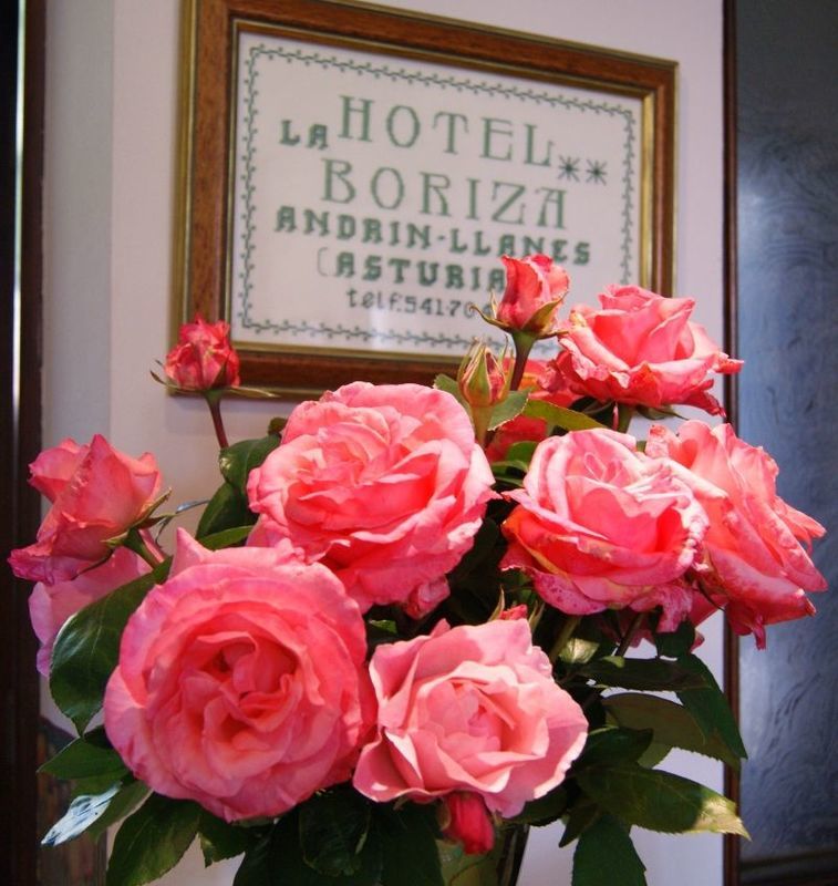Hotel La Boriza Andrín Exteriér fotografie